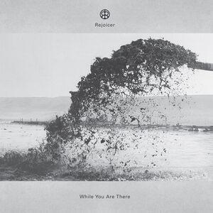 While You Are There