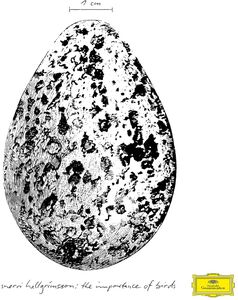Importance of Birds