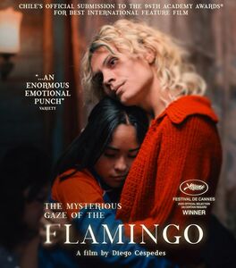 The Mysterious Gaze of the Flamingo
