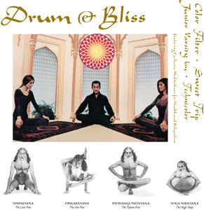 Drum & Bliss (Various Artists)