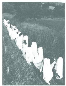 Opus 17