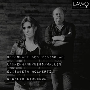 Botschaft Des Ridicolas