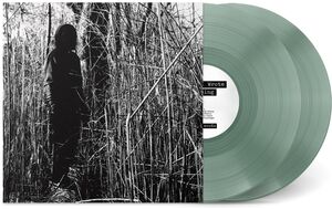 Today, I Wrote Nothing (10 Year Anniversary)