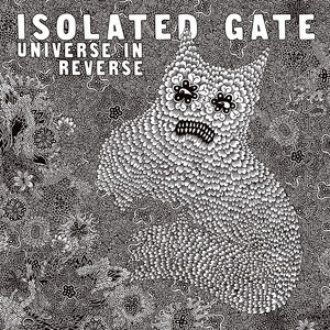 Universe In Reverse
