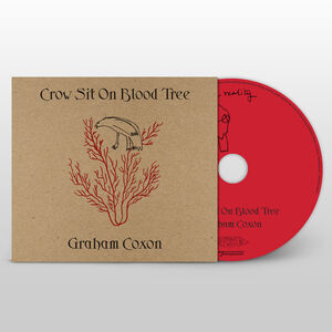 Crow Sit on Blood Tree