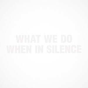 What We Do When In Silence