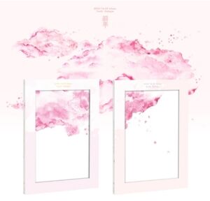 Youth : Epilogue - Random Cover Version