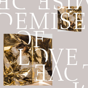 Demise Of Love