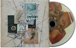 Pylon