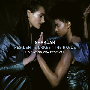 Live at Gnawa Festival