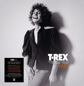 Whatever Happened To The Teenage Dream - 140-Gram Orange Colored Vinyl 5LP Boxset