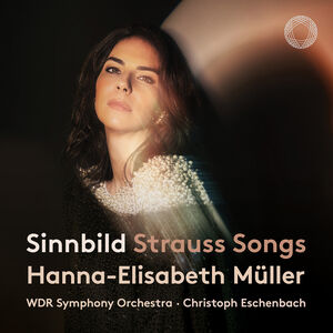 Sinnbild - Orchestral Songs