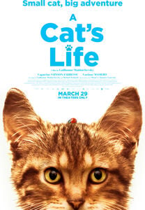 Cat's Life