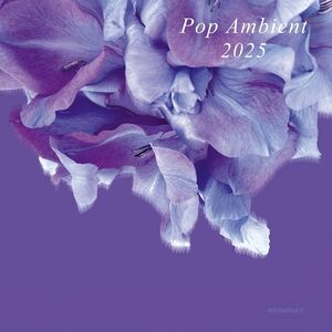Pop Ambient 2025