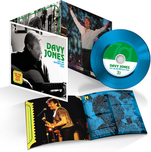 Let Me Entertain You: On The Road With Davy