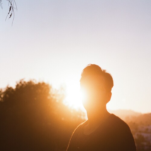 In the Last Hour of Light - Gold