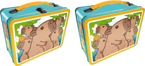 Capybara Fun Box