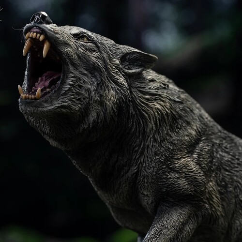 Wonders of the Wild Series - Dire Wolf Statue