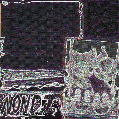 Nondi...