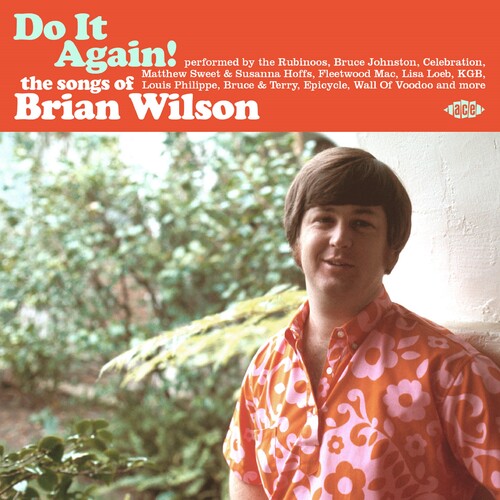 Do It Again! The Songs Of Brian Wilson / Various