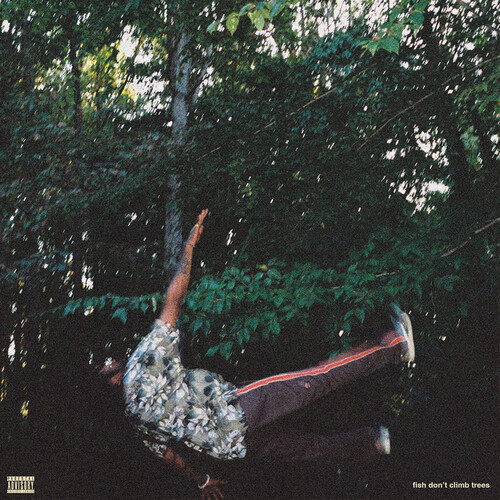 Fish don't climb trees