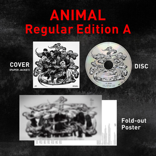 Animal: Regular Edition A