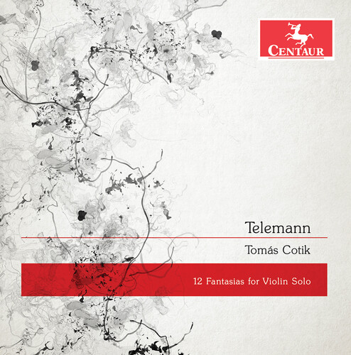 12 Fantasias for Violin