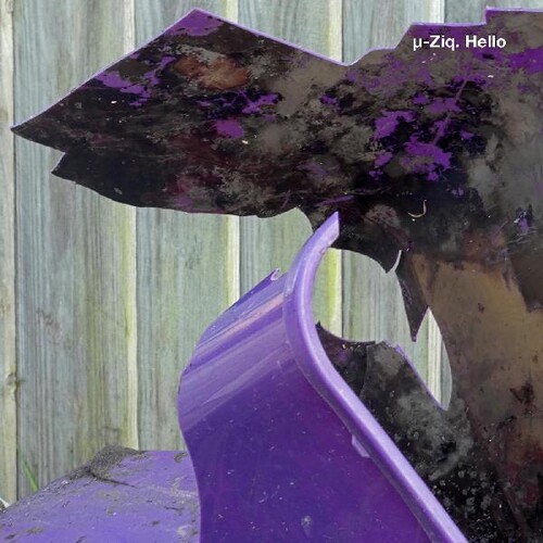 Hello/goodbye