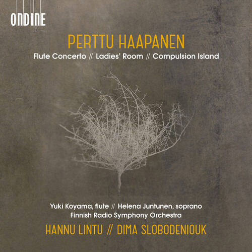 Flute Concerto
