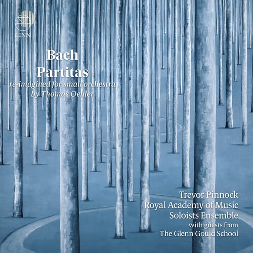 Partitas (Re-Imagined for Small Orchestra)