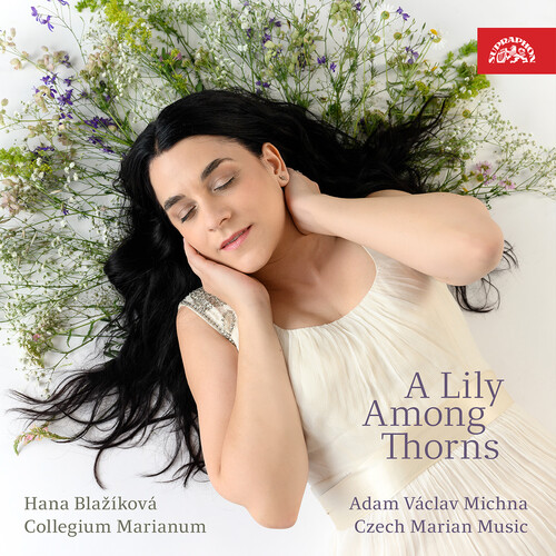 Lily Among Thorns