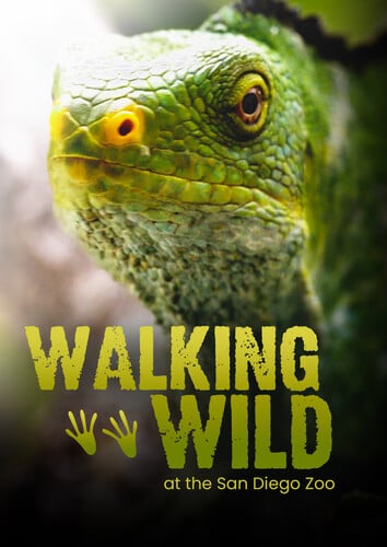Walking Wild
