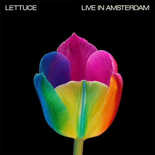 Live In Amsterdam - Pink