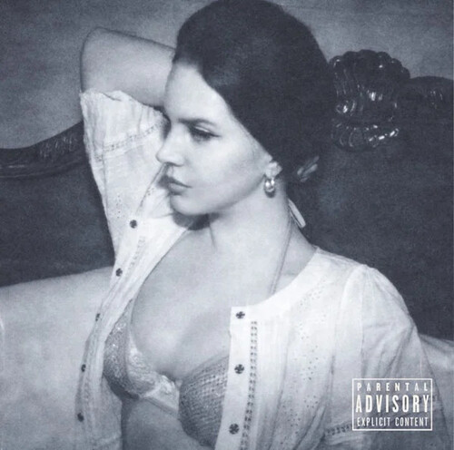 Did You Know That There's Tunnel Under Ocean Blvd - Alternate Cover Art