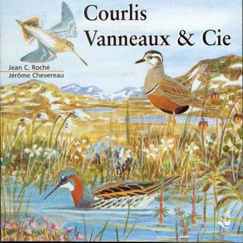 Curlews, Lapwings & Company