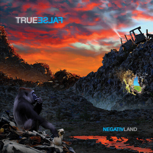 Negativland - True False (CD)