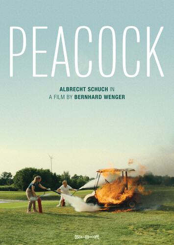Peacock
