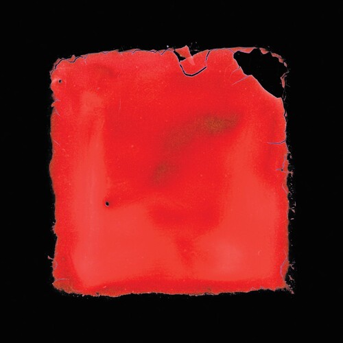 Salvia Palth - Last Chance To See (CD)