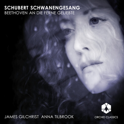 Schwanengesang / An Die Ferne Geliebte