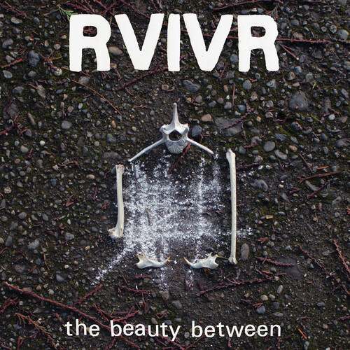 The Beauty Between - Black/Clear Vinyl