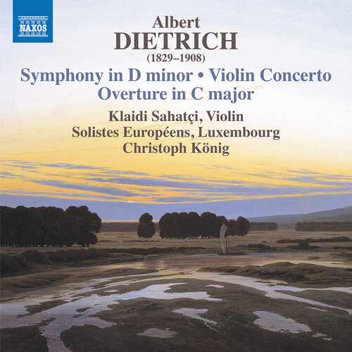 Violin Concerto Symphony in D Minor
