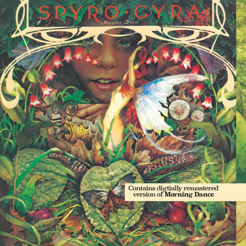 Spyro Gyra - Morning Dance (CD)