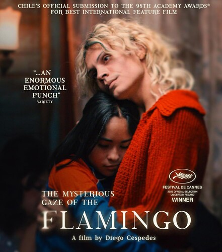 The Mysterious Gaze of the Flamingo