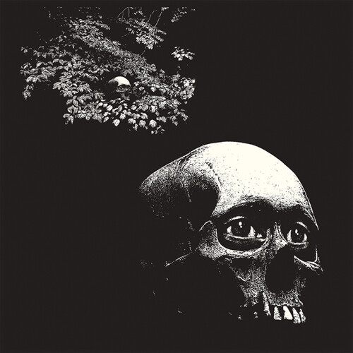 Osees - Foul Form (CD)