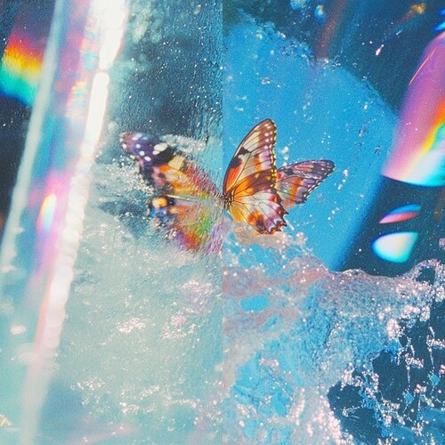 Butterfly