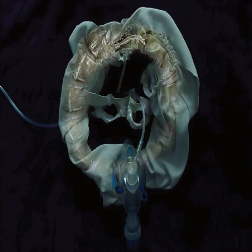 Initiatrix