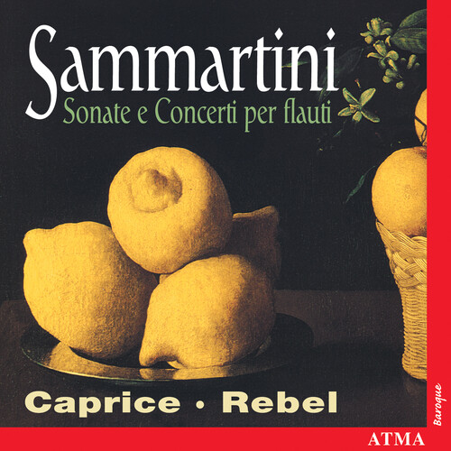 Flute Sonatas & Concerti